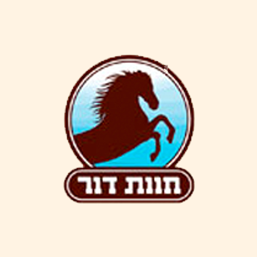 רכיבת סוסים זוגית - חוות דור