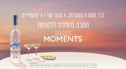 גריי גוס